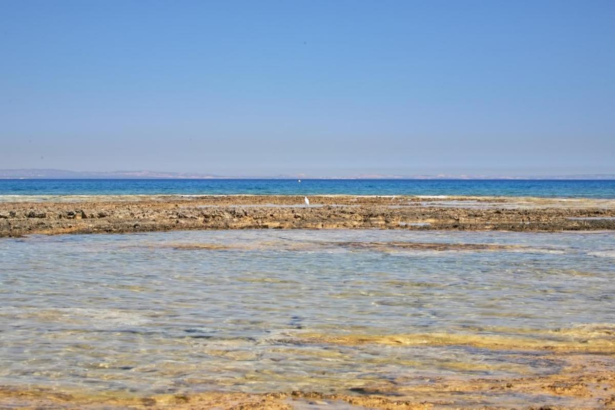 Seaview Luxury Villa Jacuzzi & Pool! 2 Min Beach Protaras Exterior photo